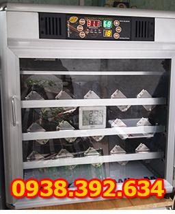 Máy 300 trứng khay inox