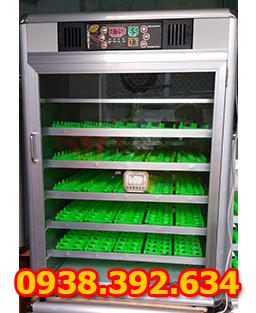 Máy 500 trứng (Tự động)